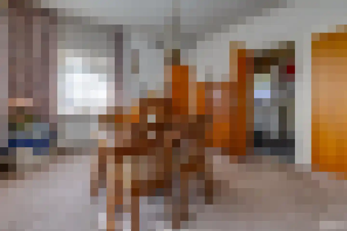 Koningdwarsstraat 25 Ter Apel thumbnail 11