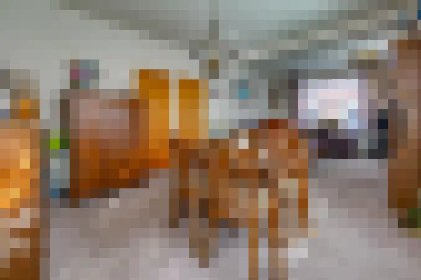 Koningdwarsstraat 25 Ter Apel thumbnail 12
