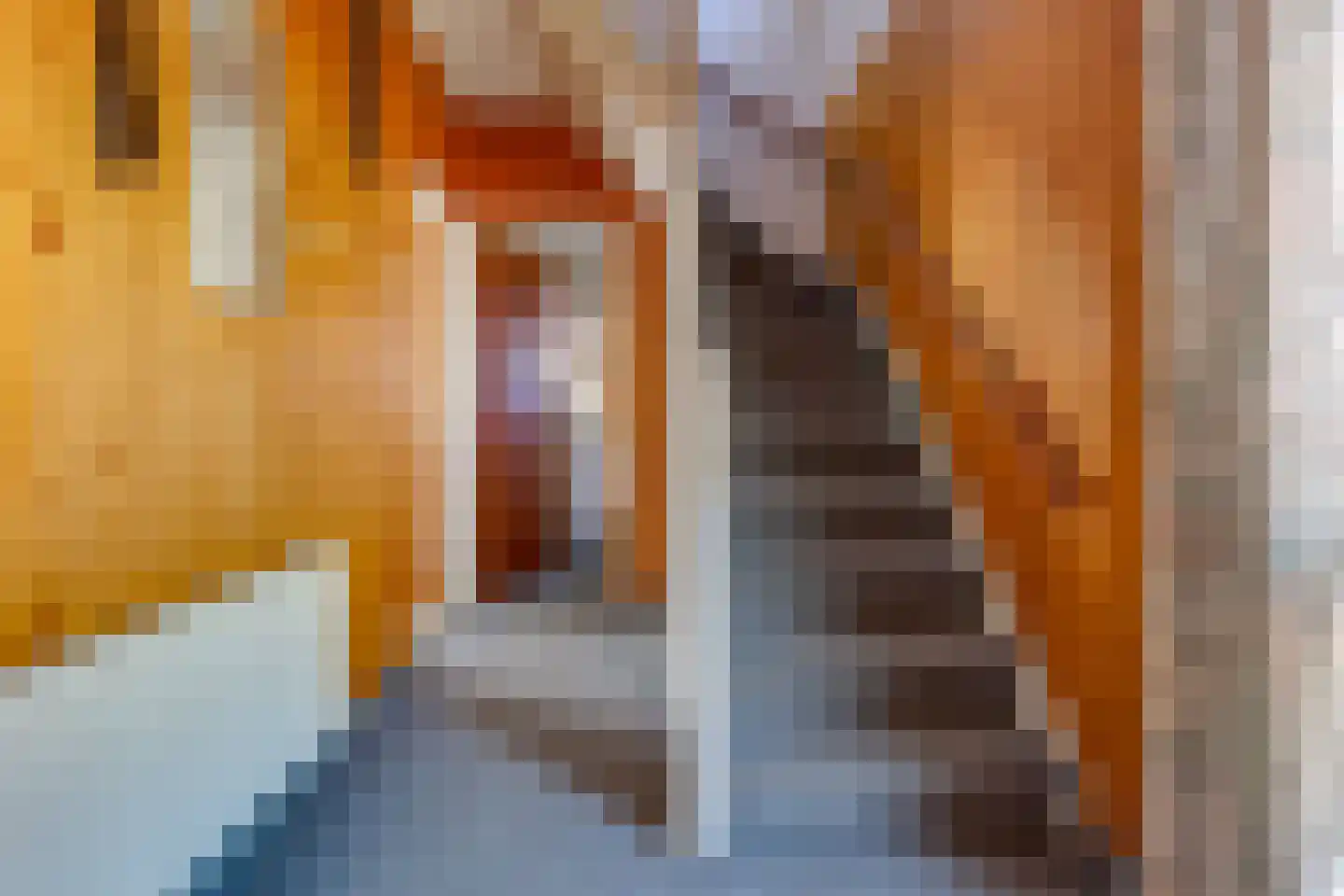 Koningdwarsstraat 25 Ter Apel thumbnail 15