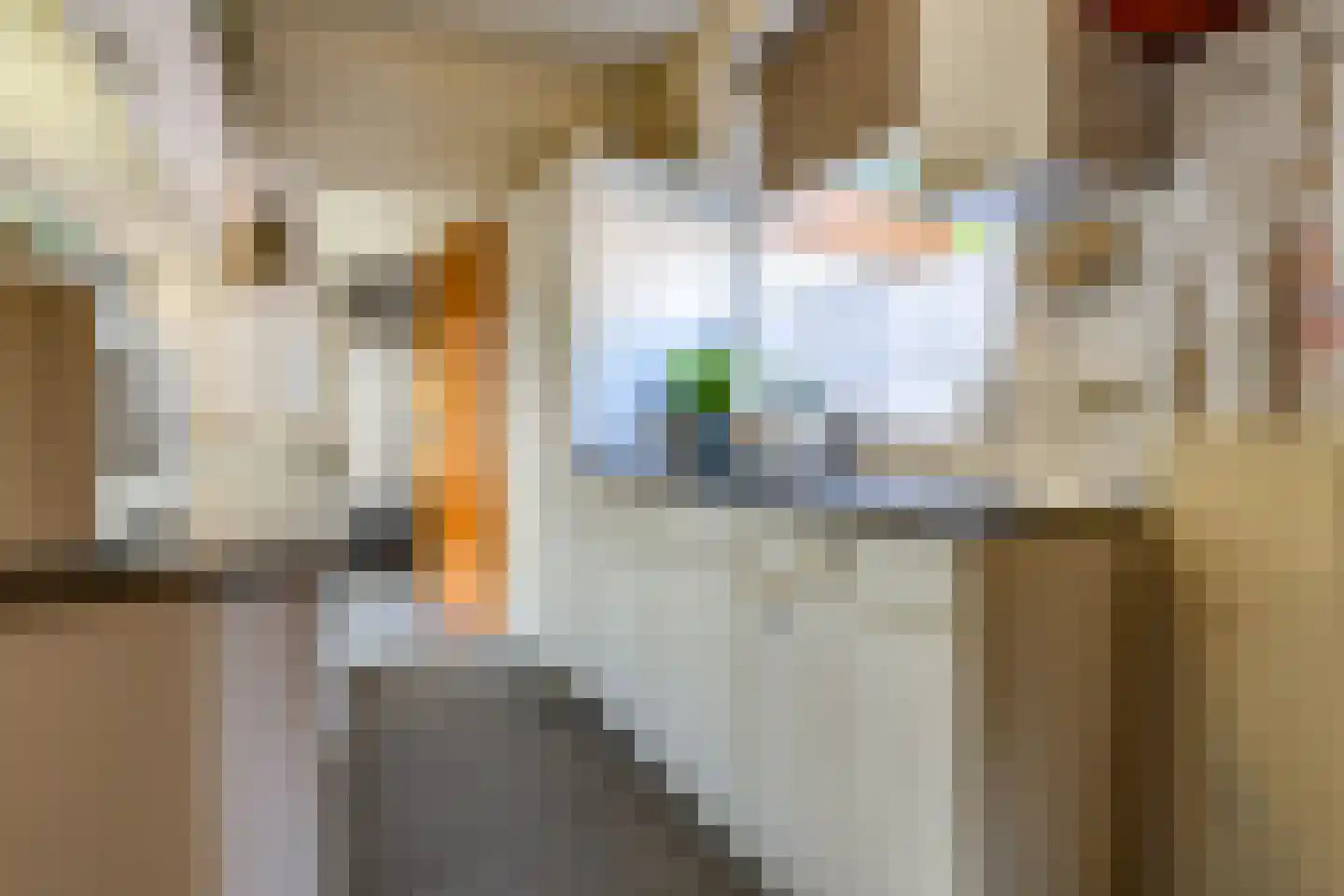 Koningdwarsstraat 25 Ter Apel thumbnail 16