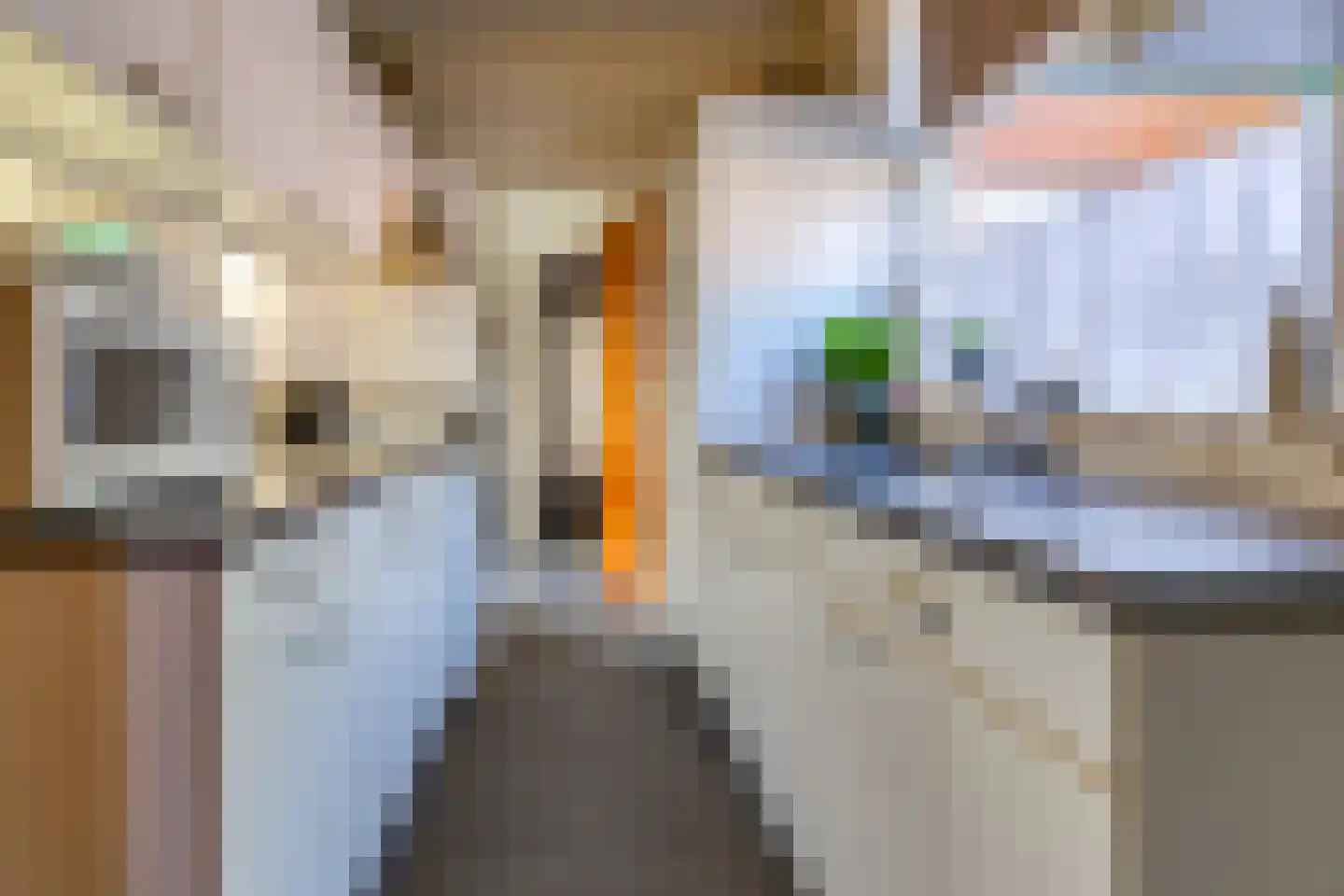 Koningdwarsstraat 25 Ter Apel thumbnail 17