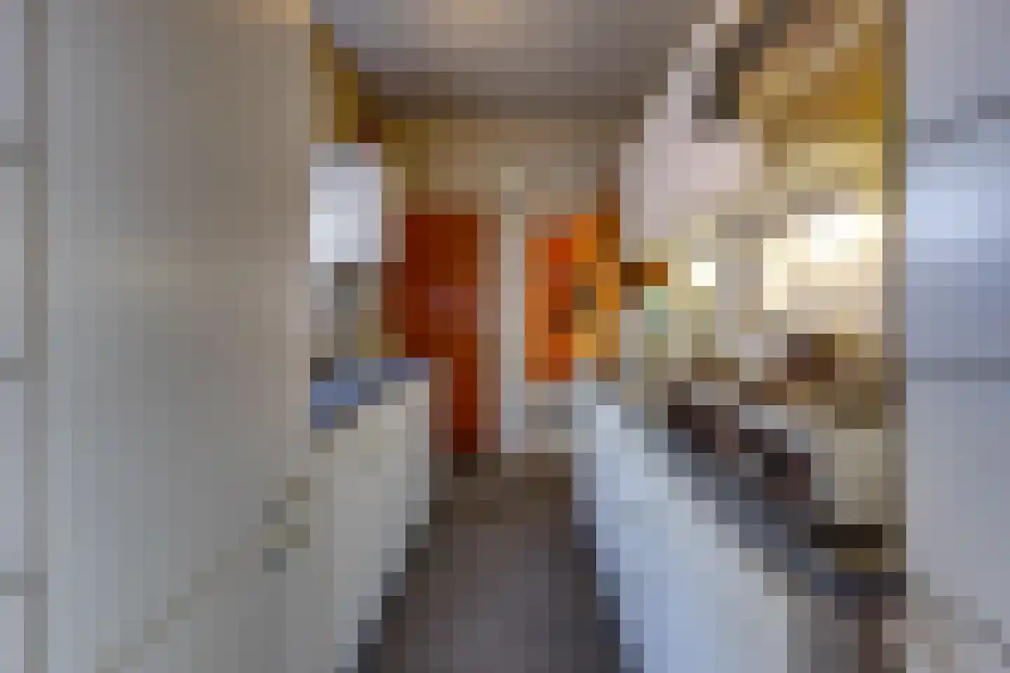 Koningdwarsstraat 25 Ter Apel thumbnail 18