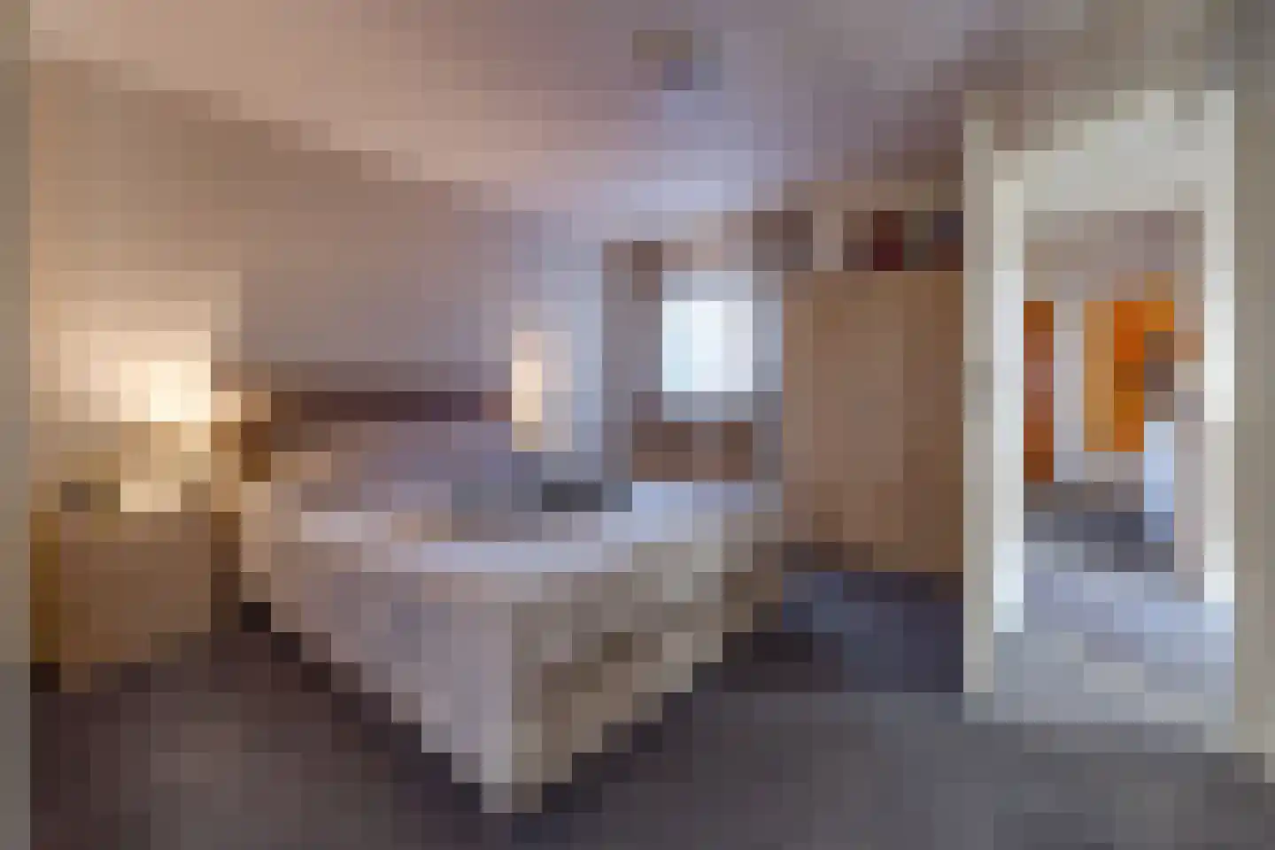Koningdwarsstraat 25 Ter Apel thumbnail 21
