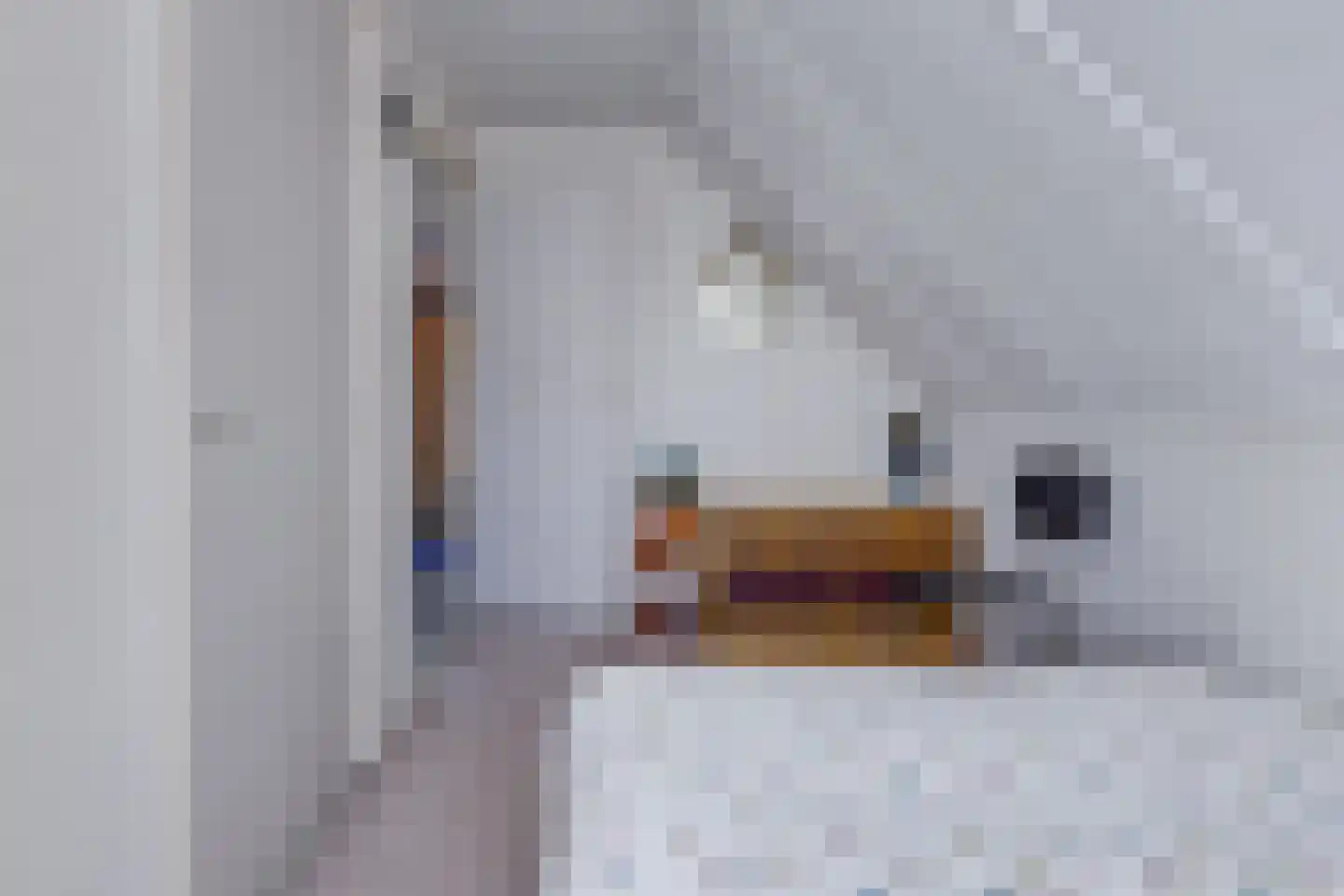 Koningdwarsstraat 25 Ter Apel thumbnail 34