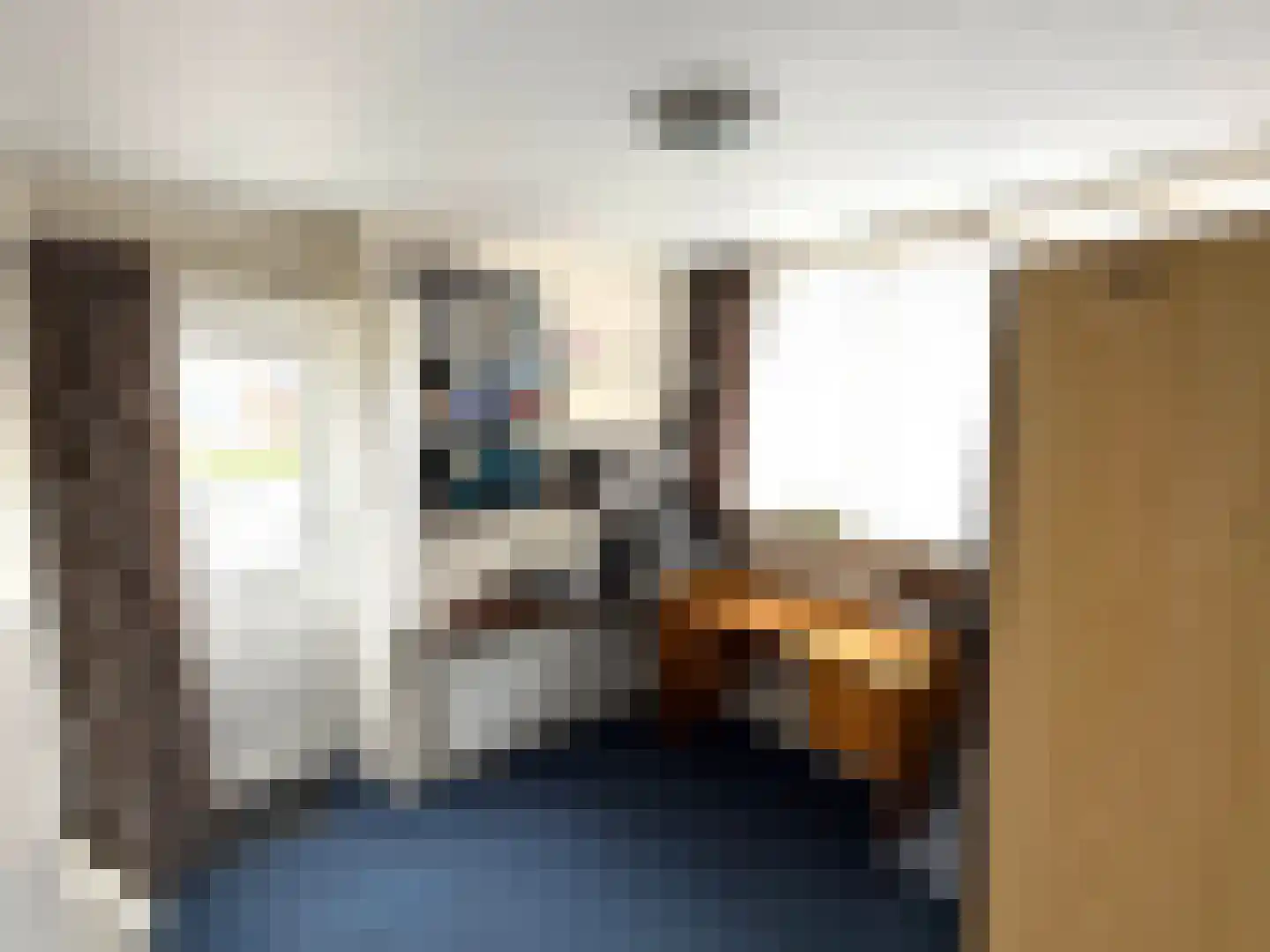 Koningdwarsstraat 25 Ter Apel thumbnail 36