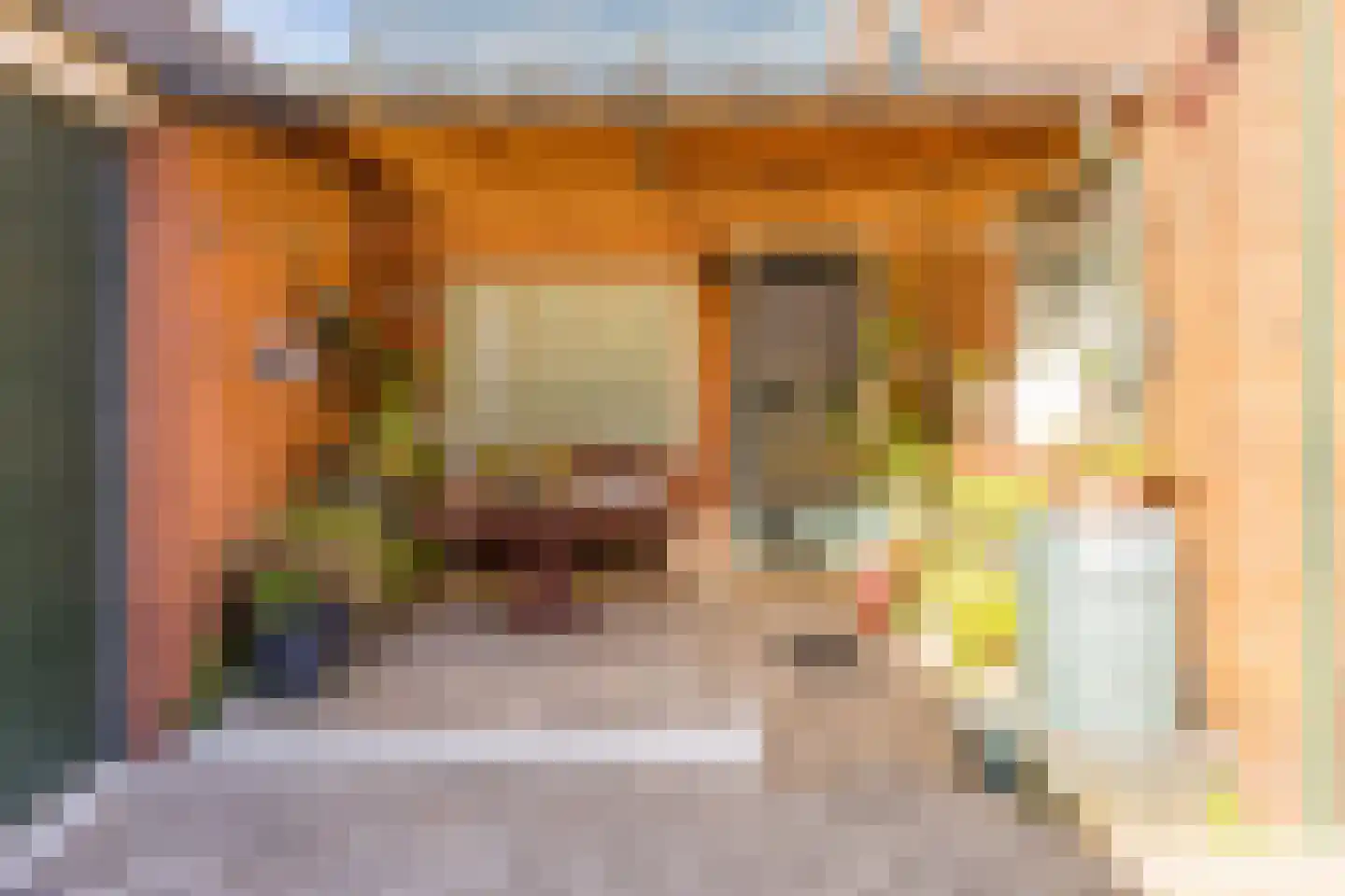Koningdwarsstraat 25 Ter Apel thumbnail 42