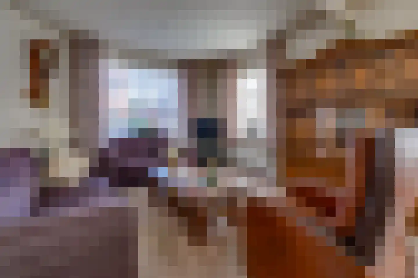 Koningdwarsstraat 25 Ter Apel thumbnail 8