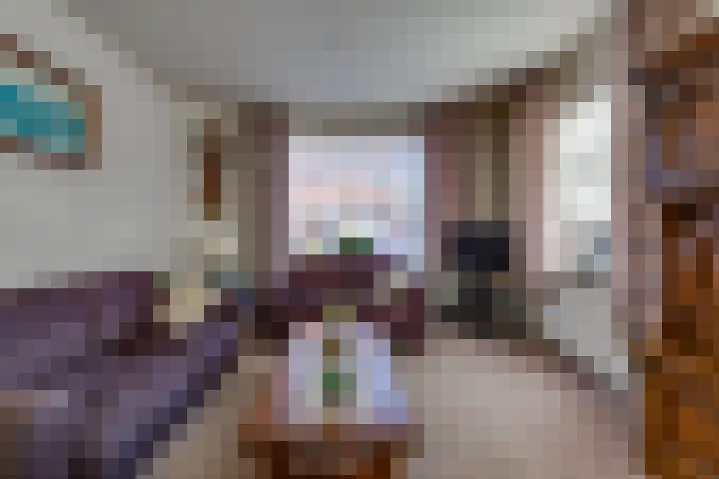 Koningdwarsstraat 25 Ter Apel thumbnail 9