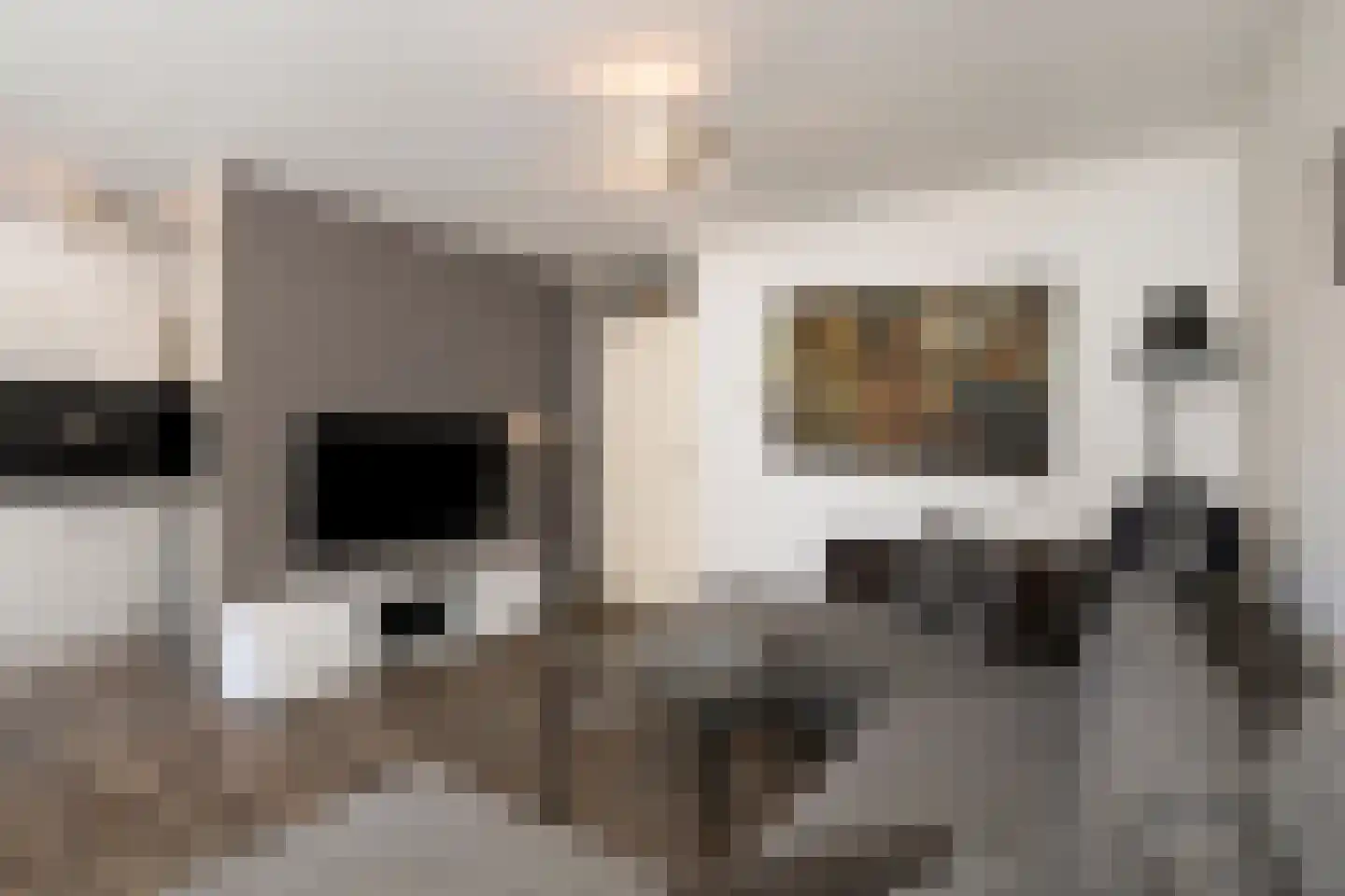 Koningdwarsstraat 82 Den Helder thumbnail 8