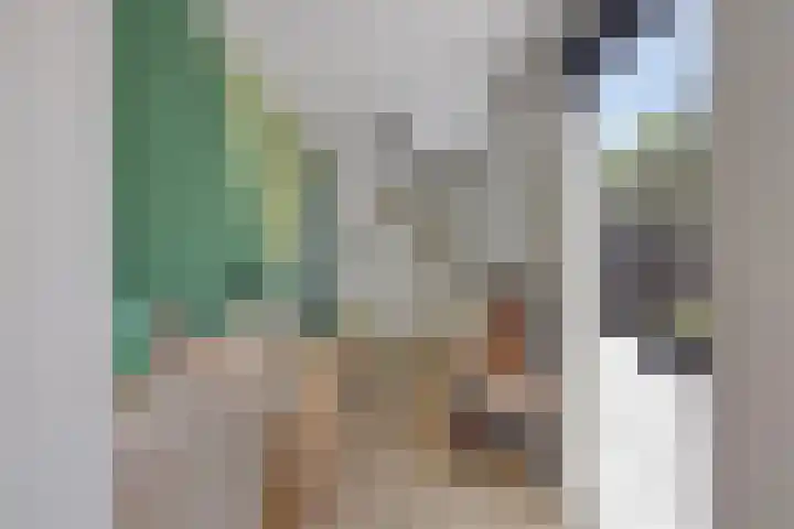 Koningfazant 12 Nieuwegein thumbnail 17