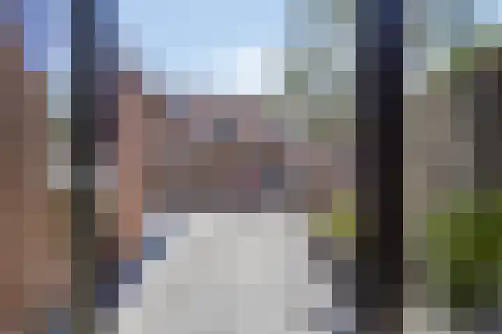 Koningfazant 12 Nieuwegein thumbnail 19
