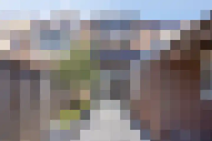 Koningfazant 12 Nieuwegein thumbnail 21