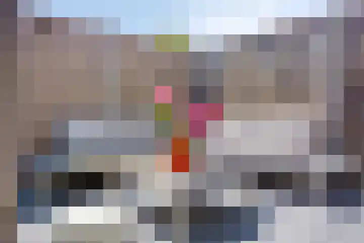 Koningfazant 12 Nieuwegein thumbnail 22