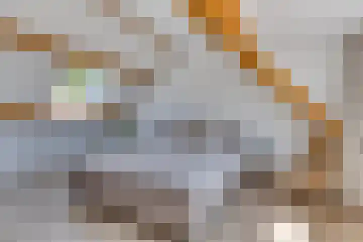 Koningfazant 12 Nieuwegein thumbnail 30