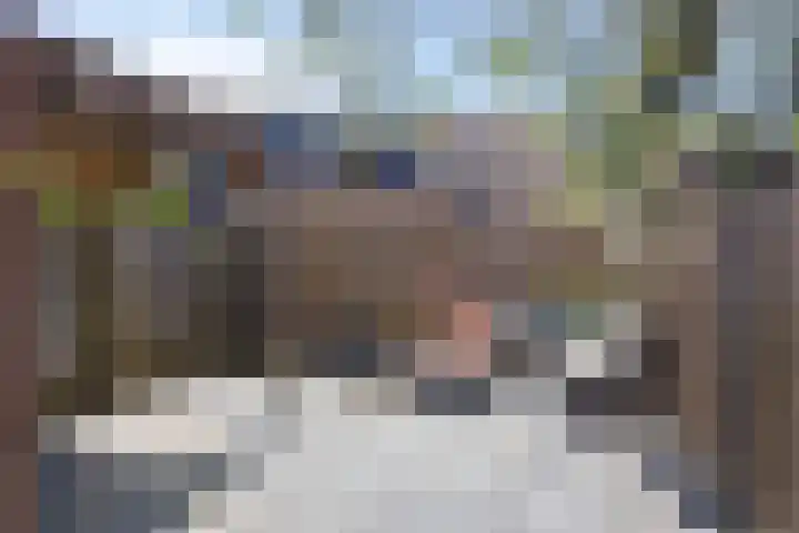 Koningfazant 12 Nieuwegein thumbnail 4