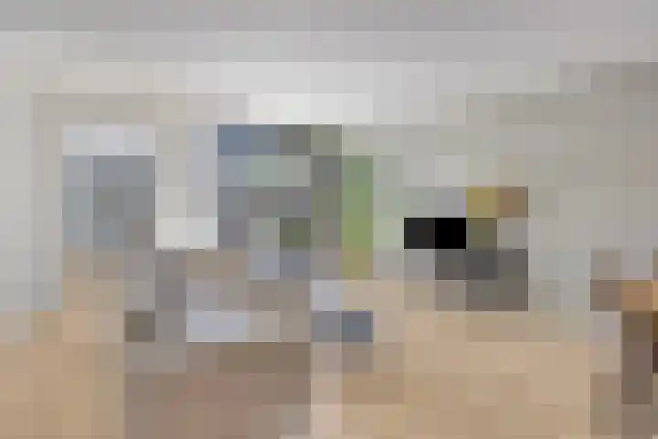 Koningfazant 12 Nieuwegein thumbnail 8