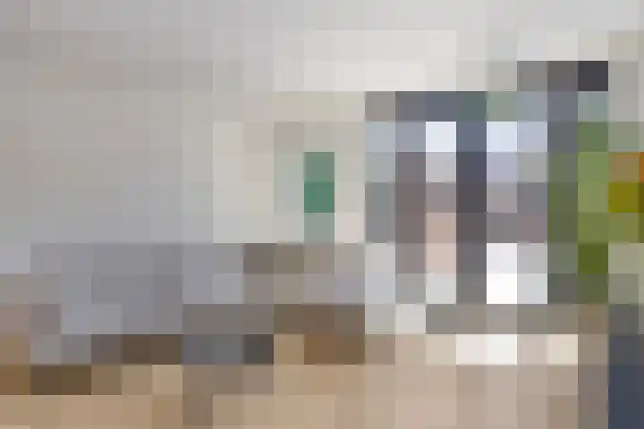 Koningfazant 12 Nieuwegein thumbnail 9