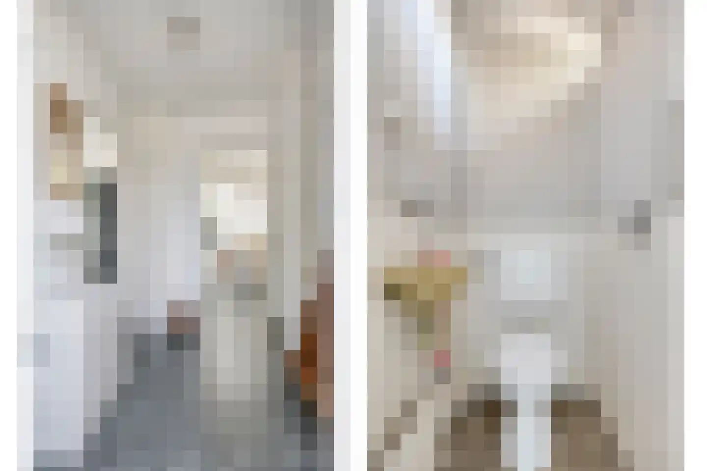 Koningin Anna Paulownastraat 15 Zwolle thumbnail 15