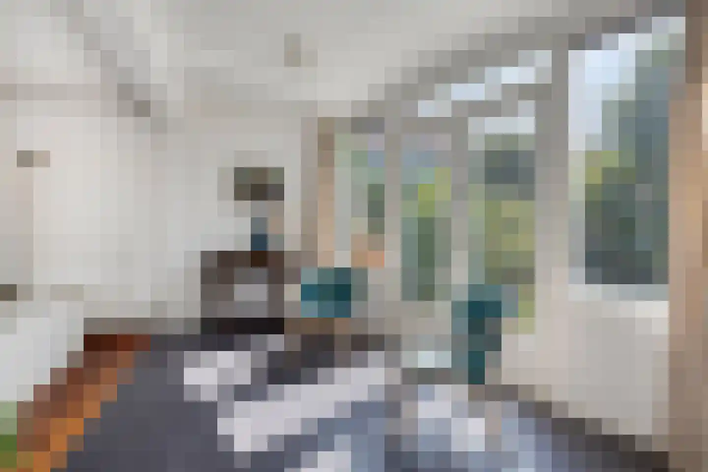 Koningin Anna Paulownastraat 15 Zwolle thumbnail 8