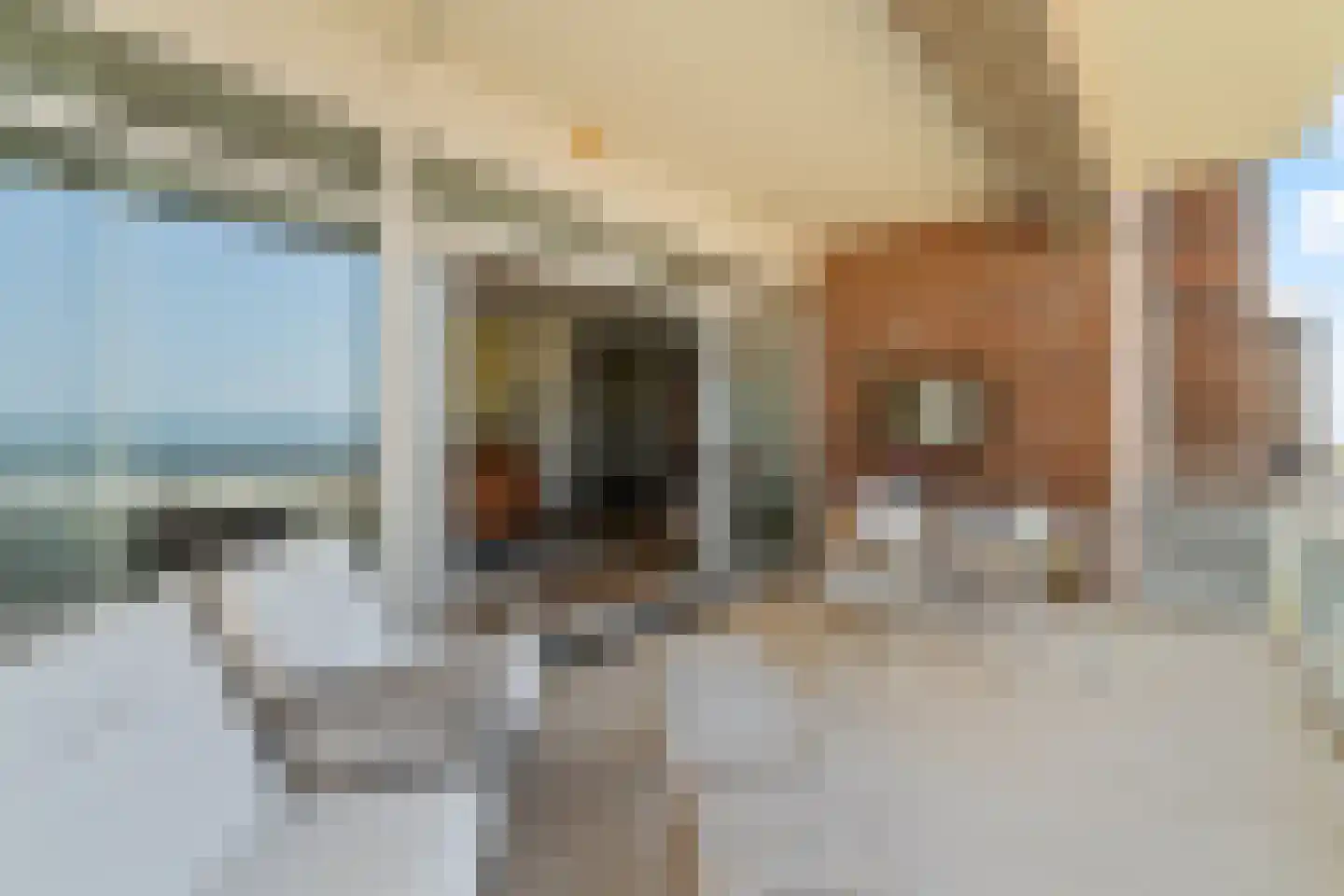 Koningin Astrid Boulevard 26 B Noordwijk thumbnail 16