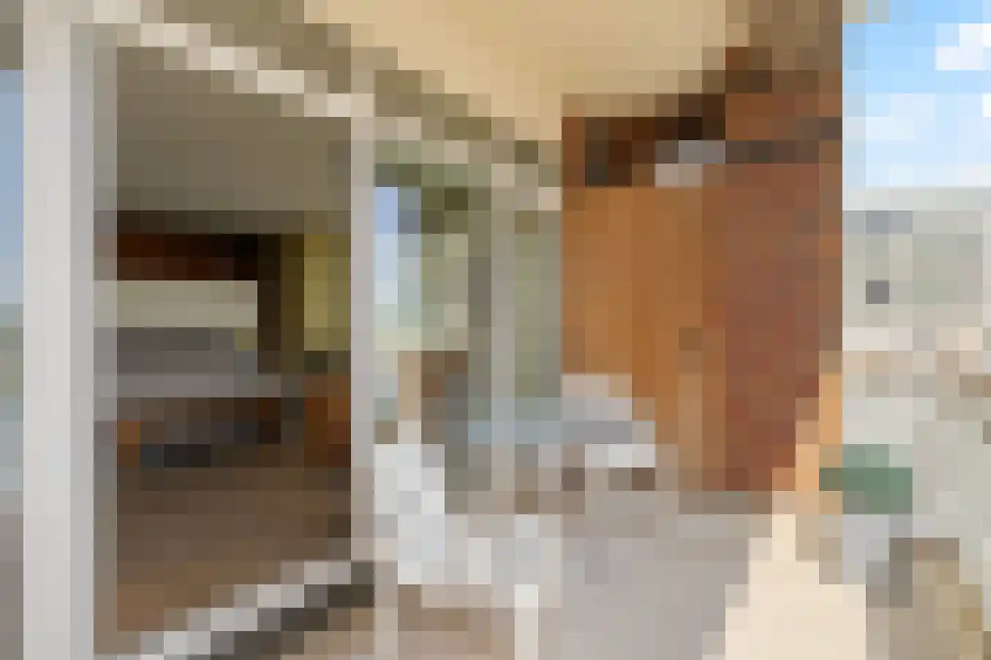 Koningin Astrid Boulevard 26 B Noordwijk thumbnail 29