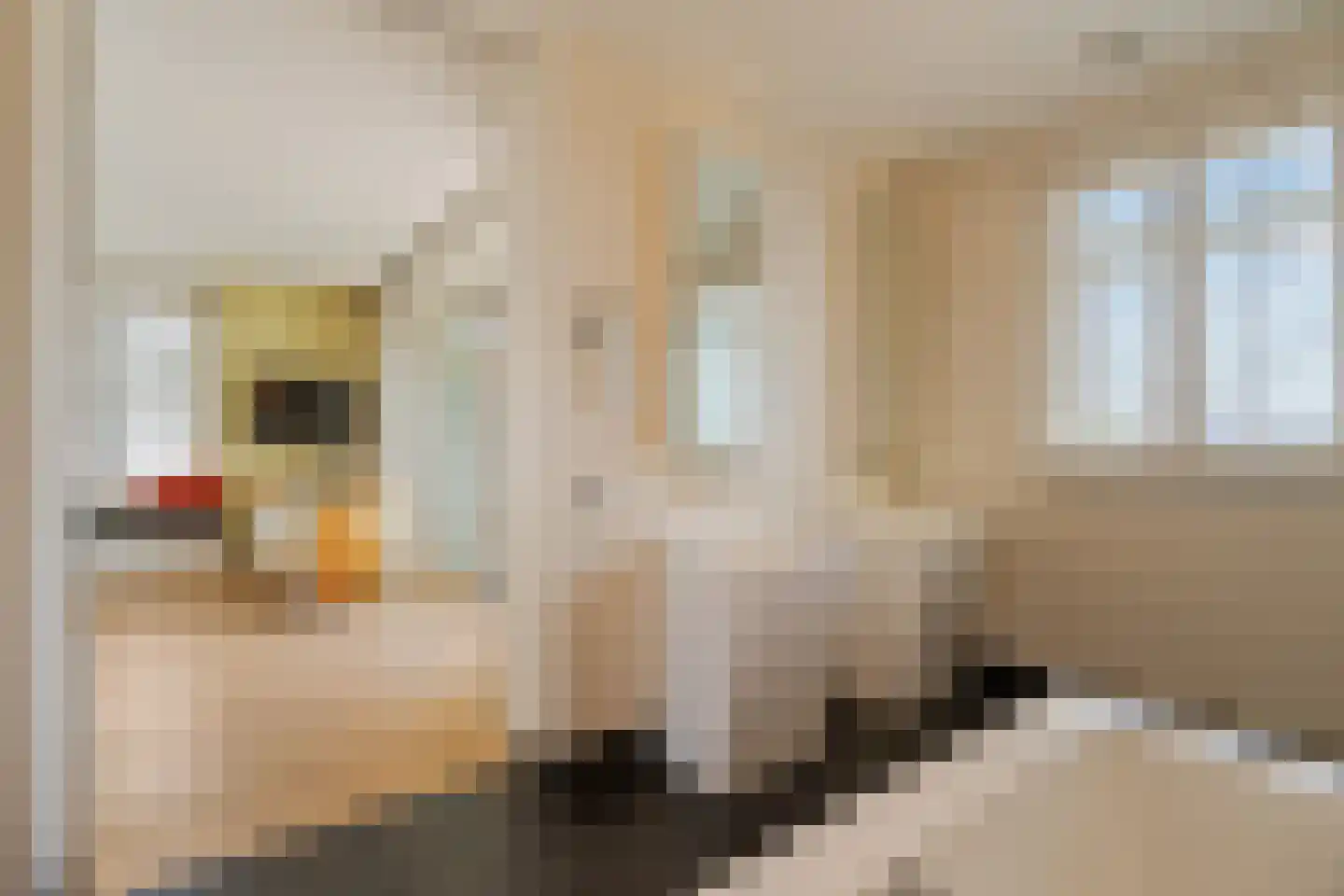 Koningin Astrid Boulevard 26 B Noordwijk thumbnail 33
