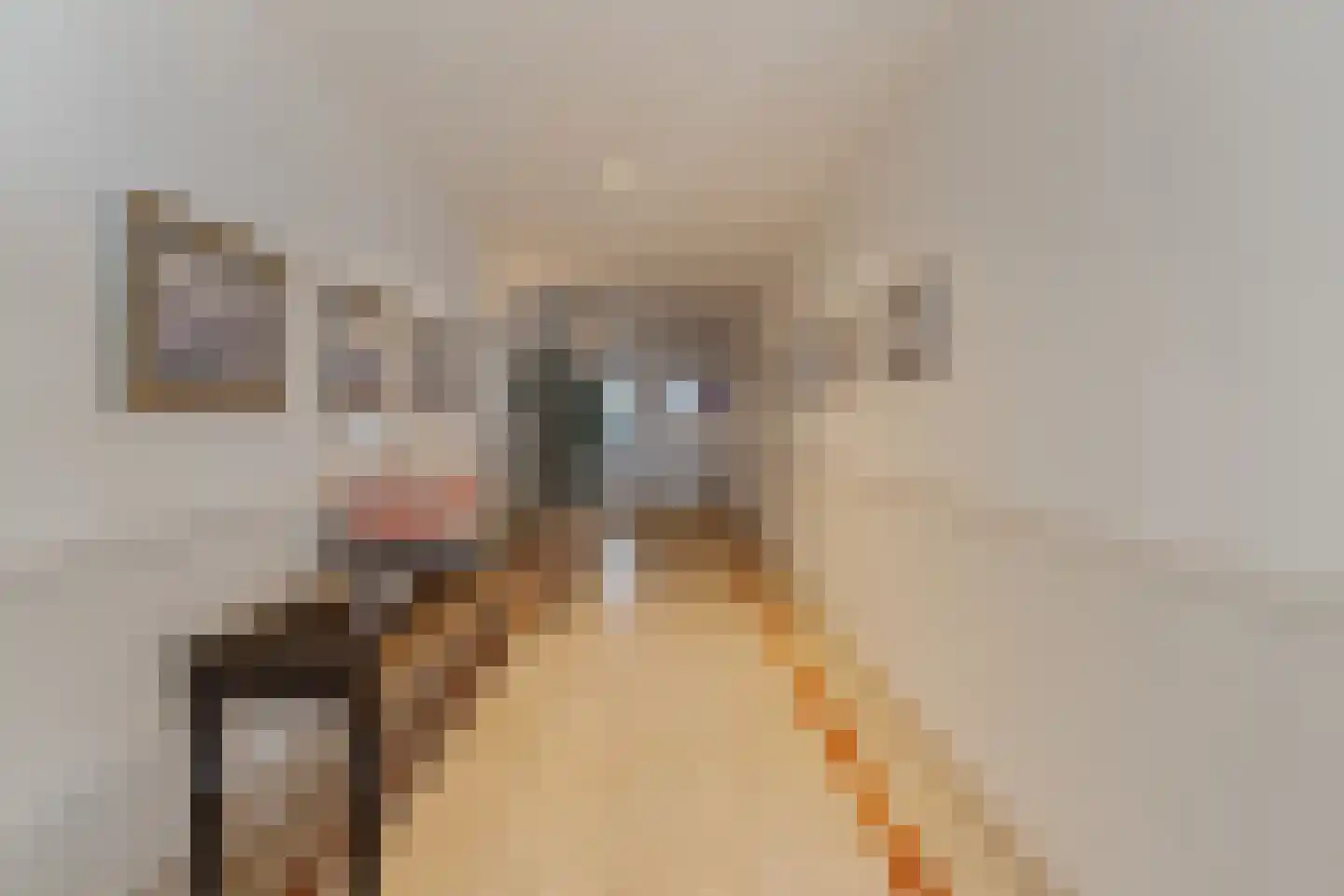 Koningin Astrid Boulevard 26 B Noordwijk thumbnail 35