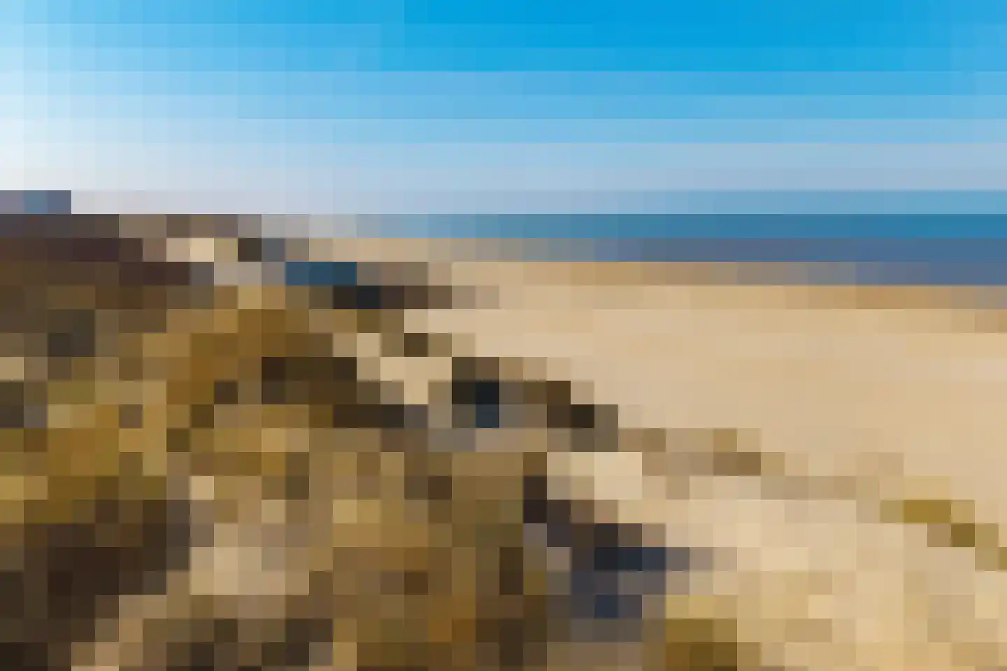 Koningin Astrid Boulevard 26 F Noordwijk thumbnail 20