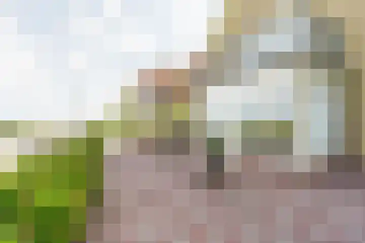 Koningin Astrid Boulevard 37 Noordwijk thumbnail 18