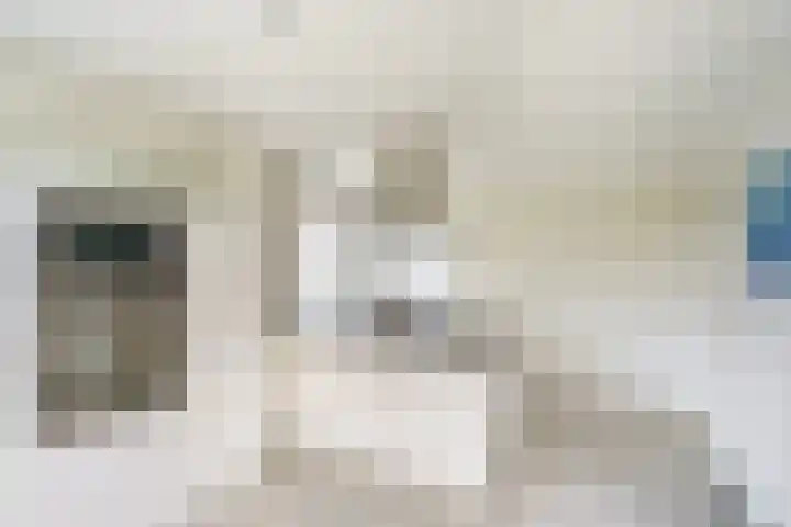 Koningin Astrid Boulevard 37 Noordwijk thumbnail 21