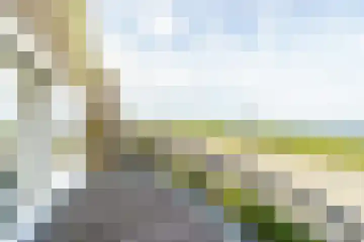 Koningin Astrid Boulevard 37 Noordwijk thumbnail 26