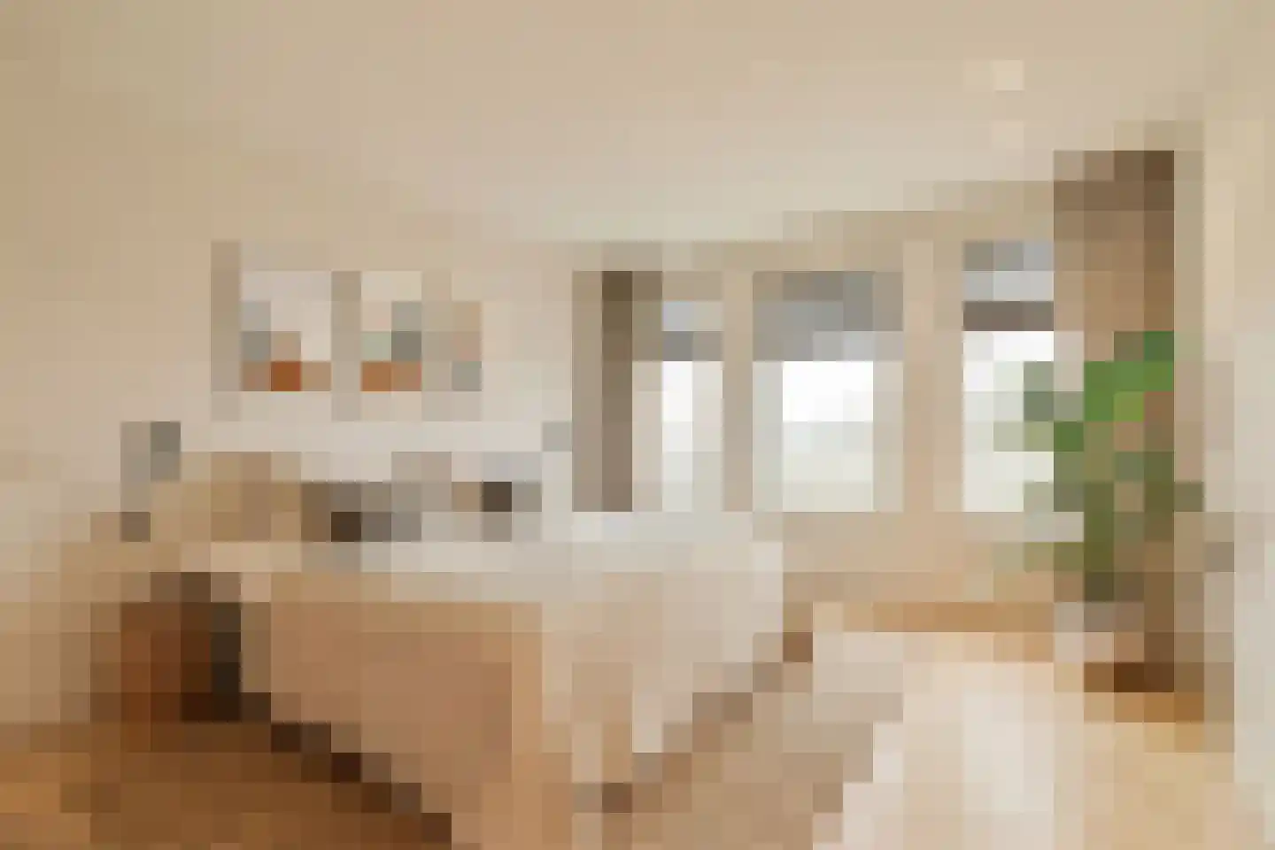 Koningin Astrid Boulevard 67 Noordwijk thumbnail 11
