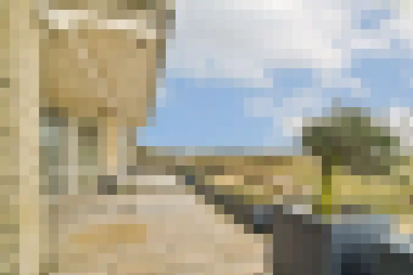 Koningin Astrid Boulevard 67 Noordwijk thumbnail 25