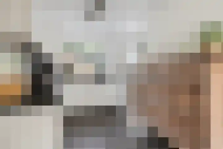 Koningin Beatrixlaan 11 Vrouwenpolder thumbnail 12