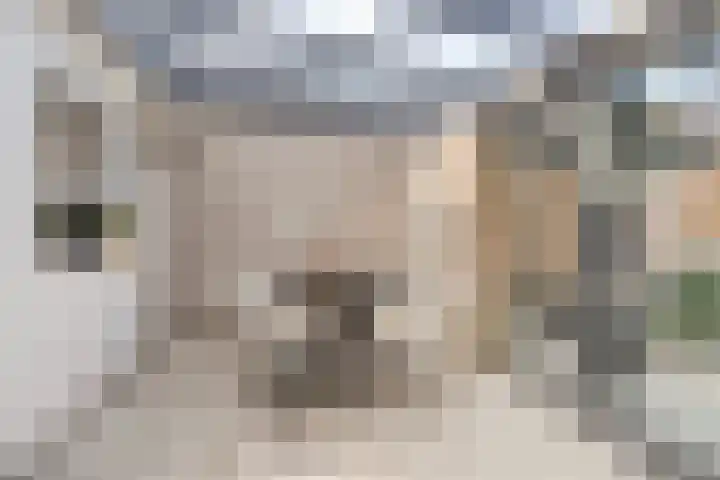 Koningin Beatrixlaan 11 Vrouwenpolder thumbnail 15