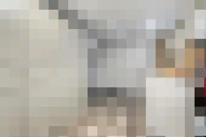 Koningin Beatrixlaan 11 Vrouwenpolder thumbnail 22