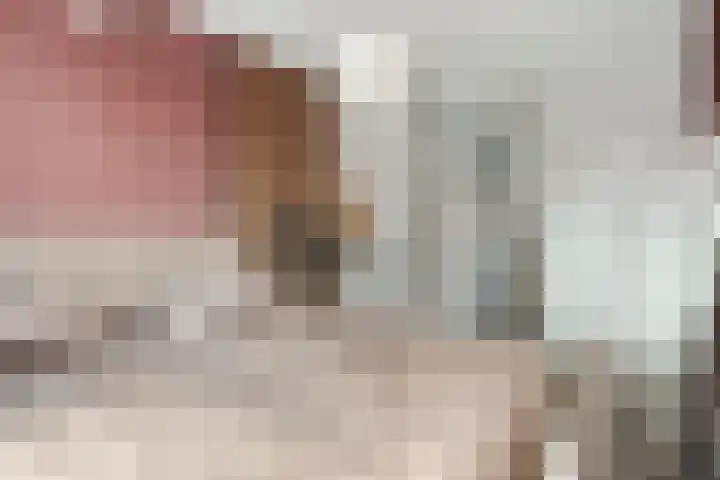 Koningin Beatrixlaan 11 Vrouwenpolder thumbnail 25