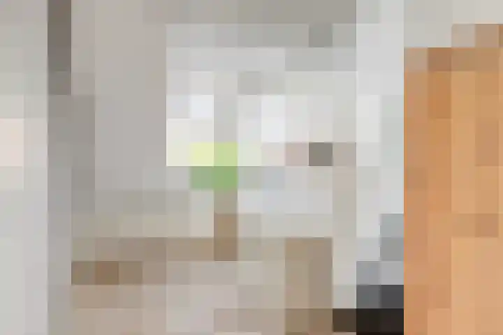 Koningin Beatrixlaan 11 Vrouwenpolder thumbnail 26