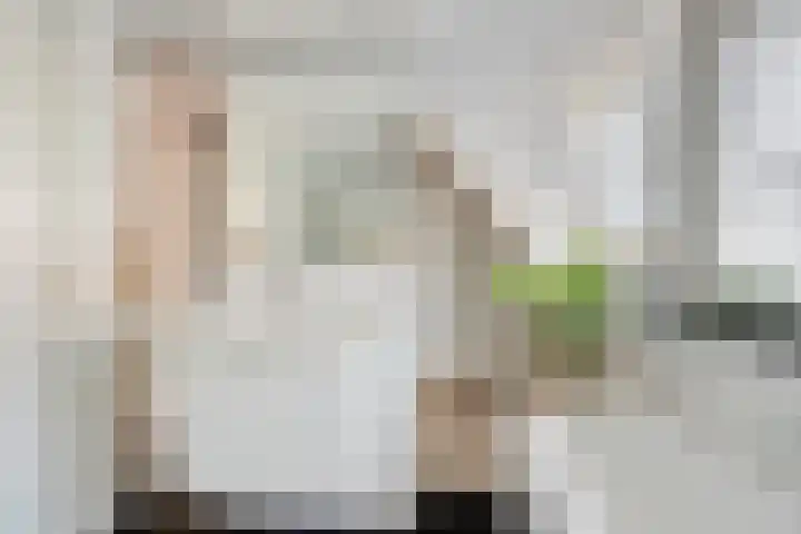 Koningin Beatrixlaan 11 Vrouwenpolder thumbnail 28