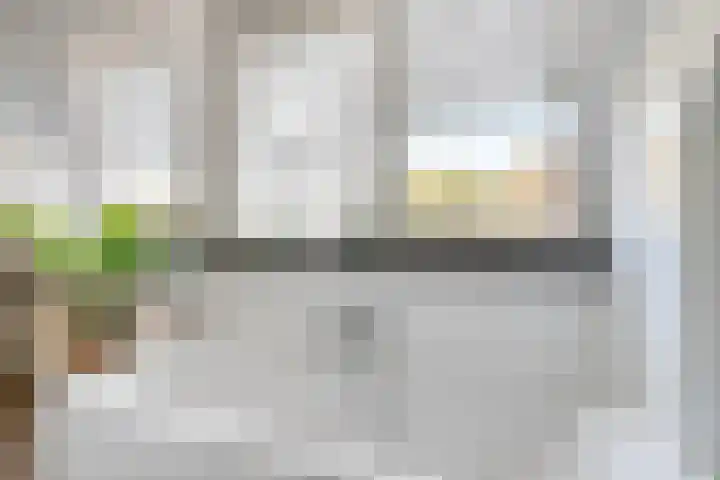 Koningin Beatrixlaan 11 Vrouwenpolder thumbnail 29