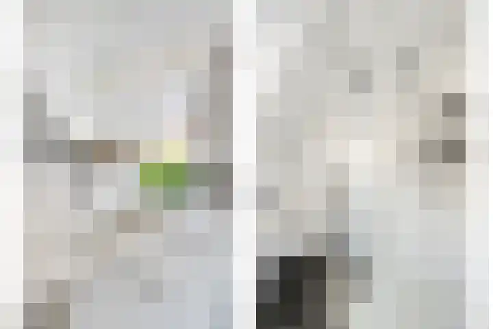 Koningin Beatrixlaan 11 Vrouwenpolder thumbnail 30