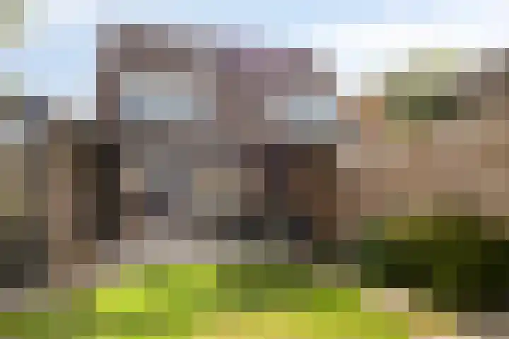 Koningin Beatrixlaan 11 Vrouwenpolder thumbnail 34