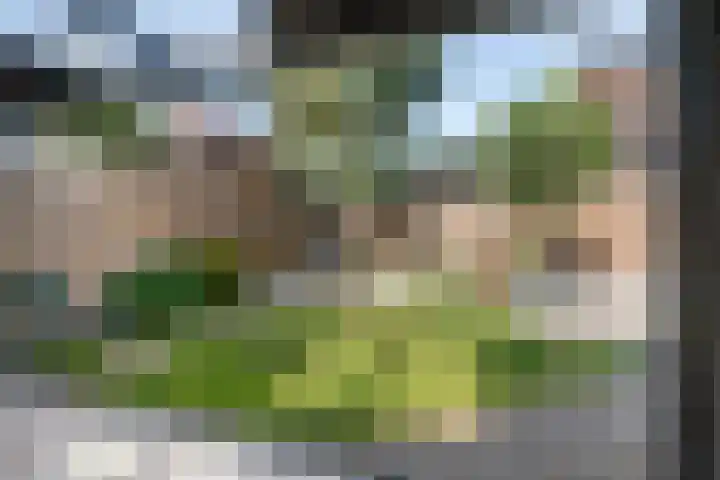 Koningin Beatrixlaan 11 Vrouwenpolder thumbnail 35