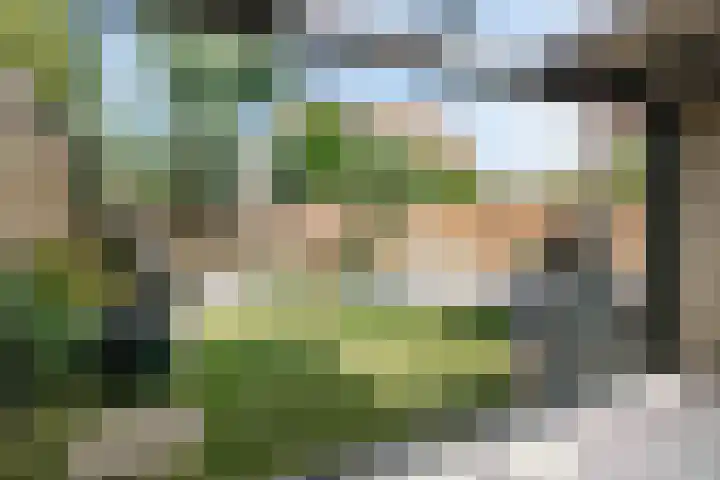 Koningin Beatrixlaan 11 Vrouwenpolder thumbnail 36