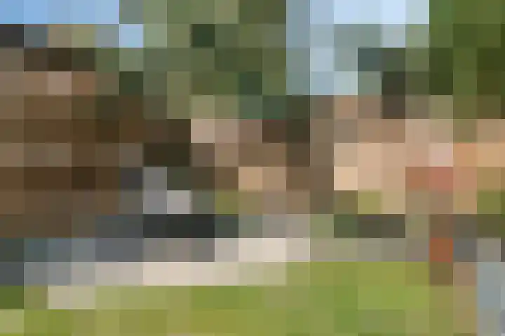 Koningin Beatrixlaan 11 Vrouwenpolder thumbnail 37