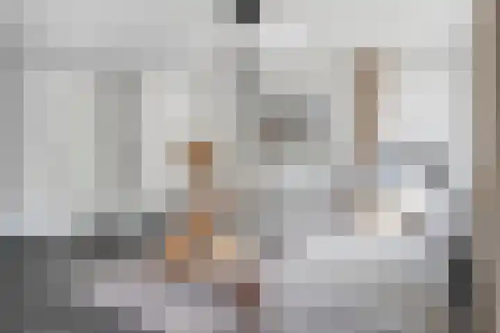 Koningin Beatrixlaan 11 Vrouwenpolder thumbnail 8