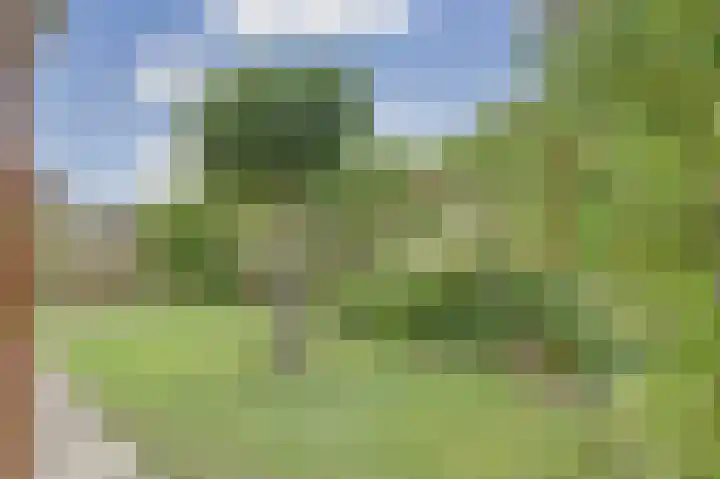 Koningin Beatrixlaan 39 Slootdorp thumbnail 30