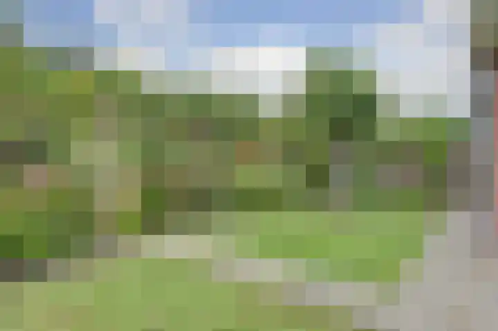 Koningin Beatrixlaan 39 Slootdorp thumbnail 31