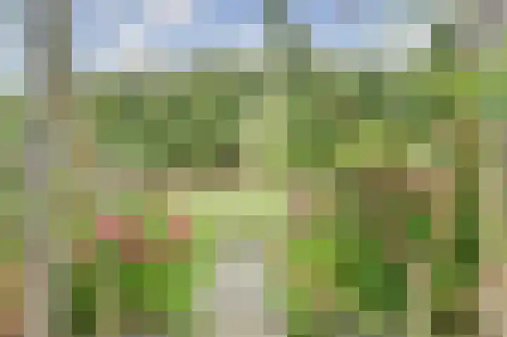 Koningin Beatrixlaan 39 Slootdorp thumbnail 32