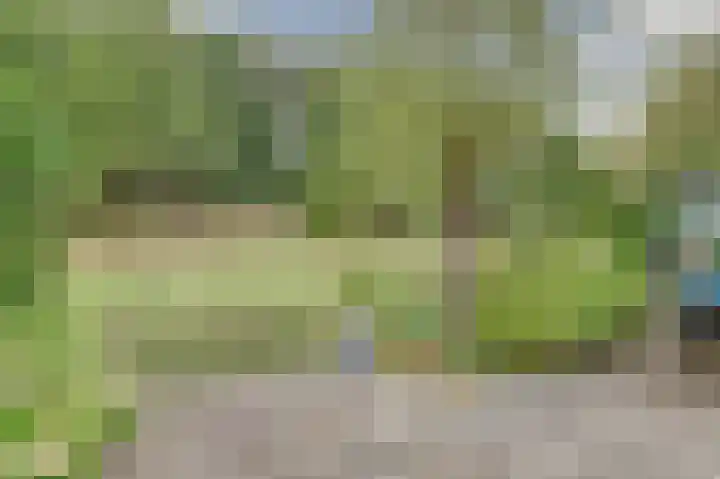 Koningin Beatrixlaan 39 Slootdorp thumbnail 33